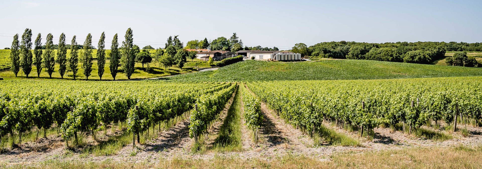 Domaine de la Prenellerie - Rue des Vignerons