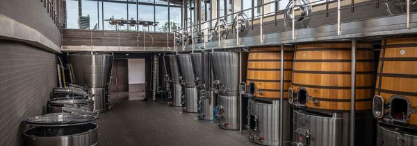 À Travers les Millésimes (Durch die Jahrgänge)-photo