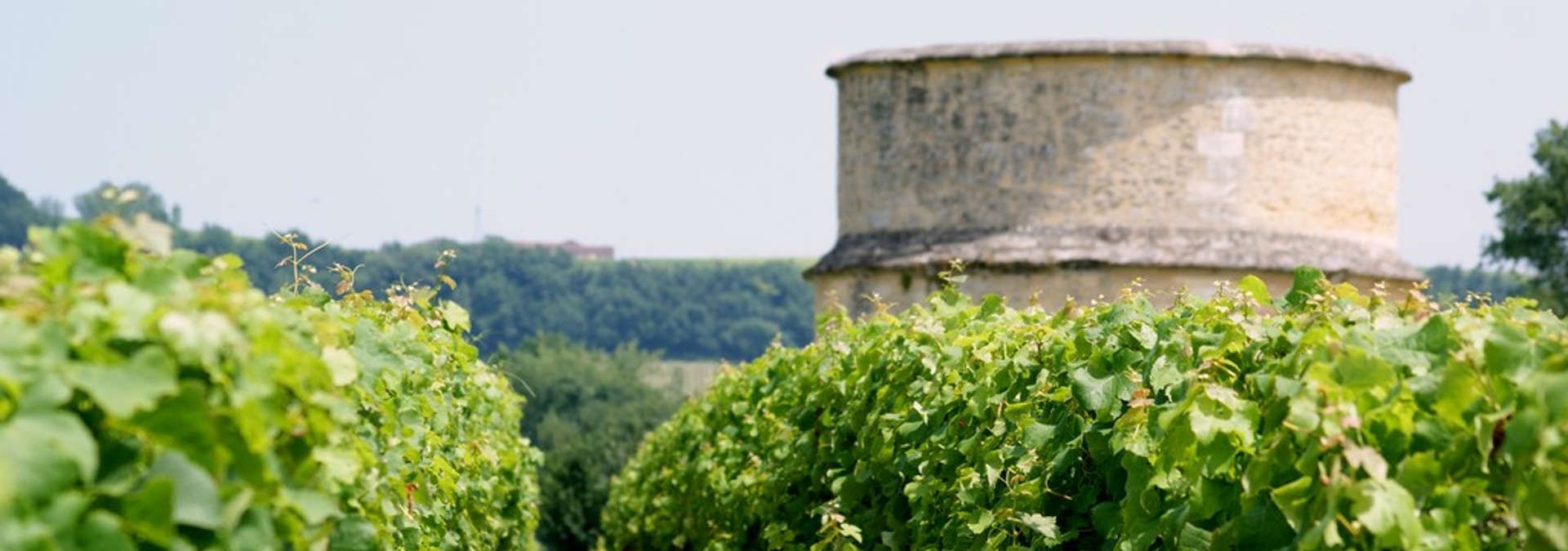 Château de Rolland - Rue des Vignerons