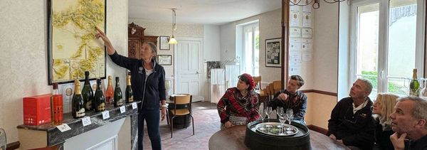 Discover Blancs de Blancs-photo