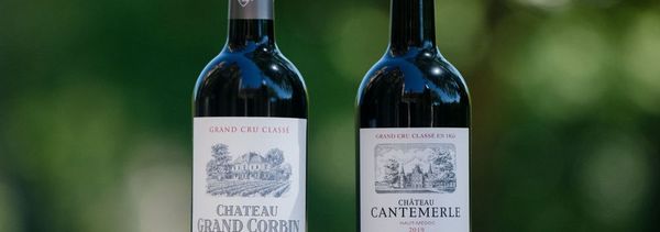 Van de Médoc naar Saint-Emilion: 2 grands crus classés-photo