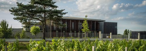 Château Couhins, Grand Cru Classé photo