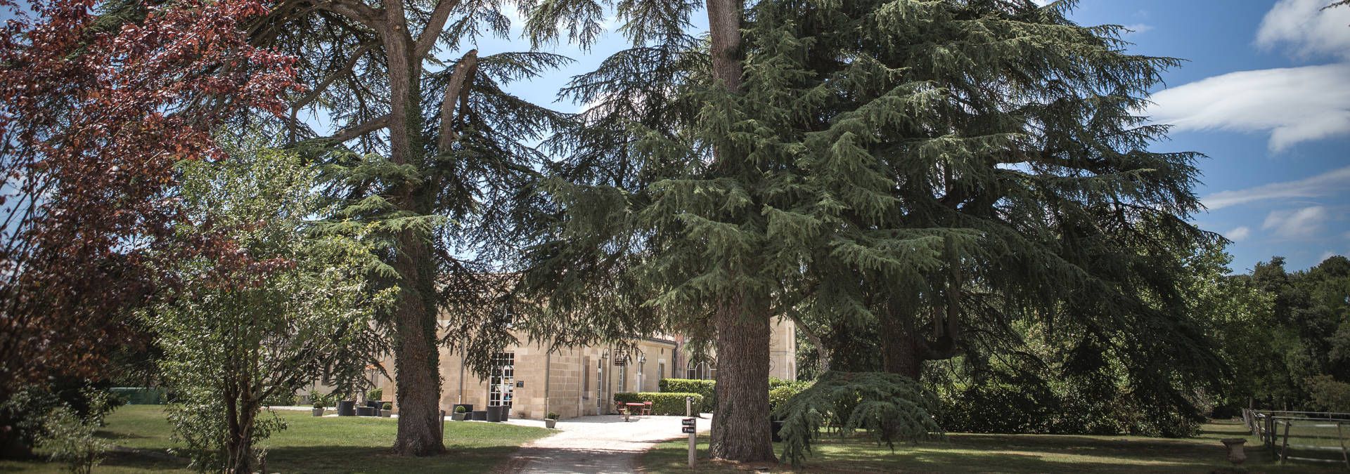Château Léognan - Rue des Vignerons