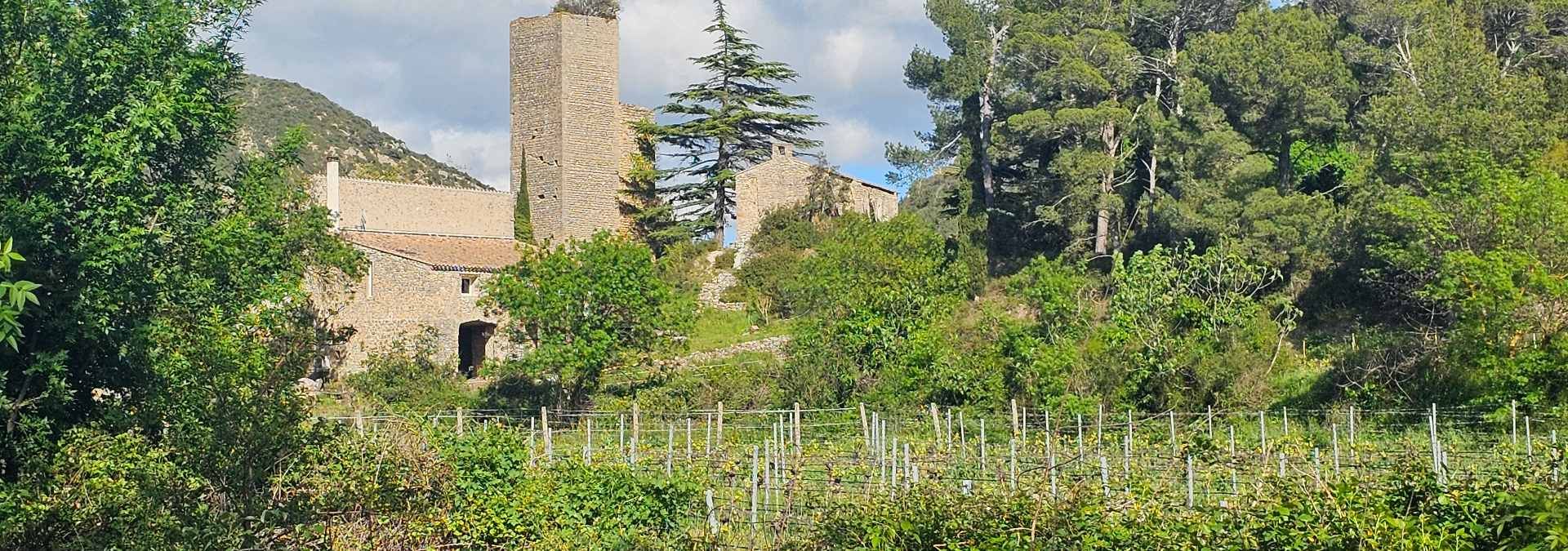 Château de Nouvelles - Rue des Vignerons