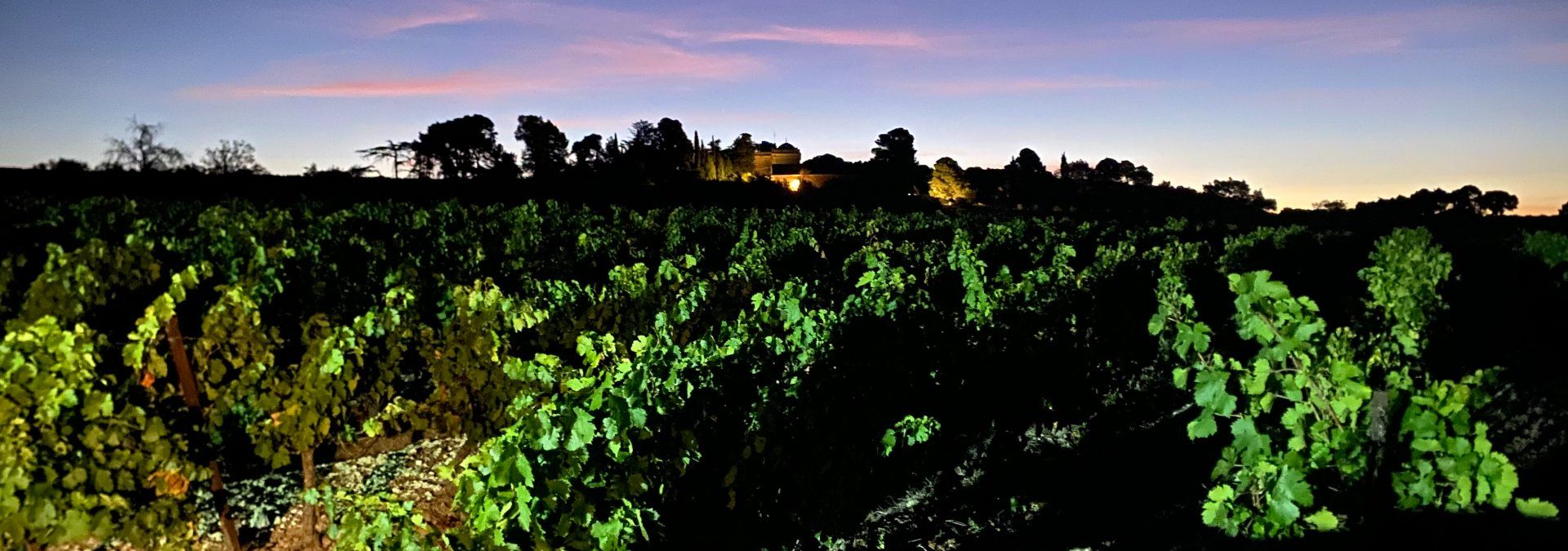 Domaine de Saliès - Rue des Vignerons