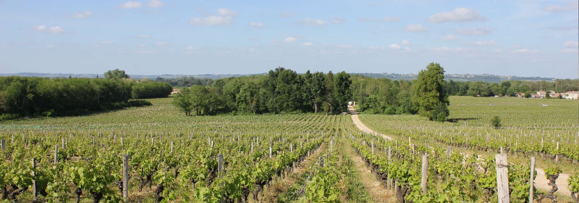 Château Rabaud Promis - Rue des Vignerons