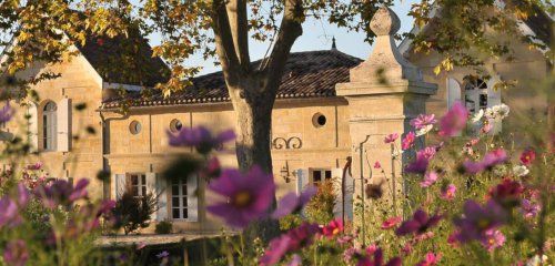 Château Jean Faure, Grand Cru Classé photo