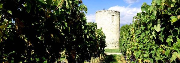 Barde-Haut La Prestigieuse-photo