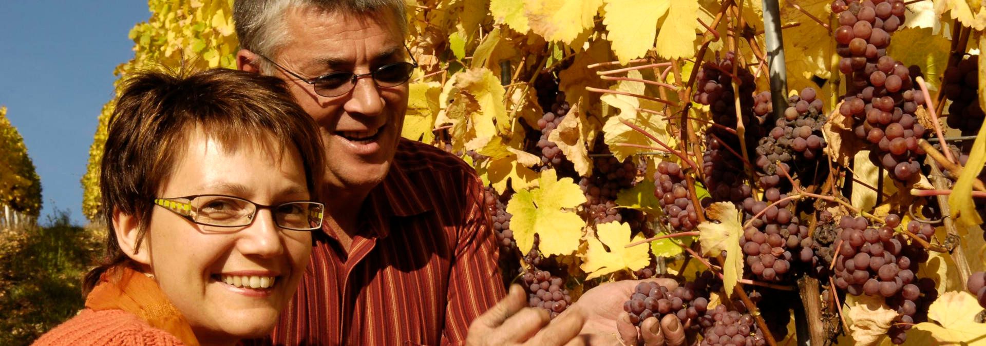Domaine Jean-Marie Haag - Rue des Vignerons