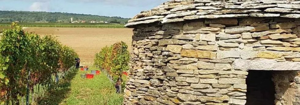 Domaine Truchetet - Rue des Vignerons