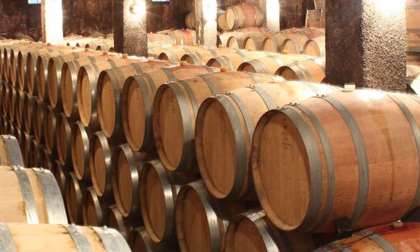 Visita a la bodega y degustación-photo