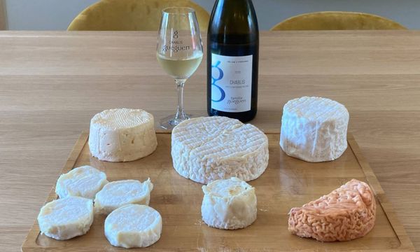 Tasting of 5 wines and cheeses from Burgundy-photo
