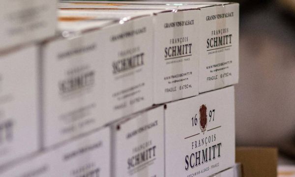 Entdeckung der elsässischen Rebsorten und Besuch-photo