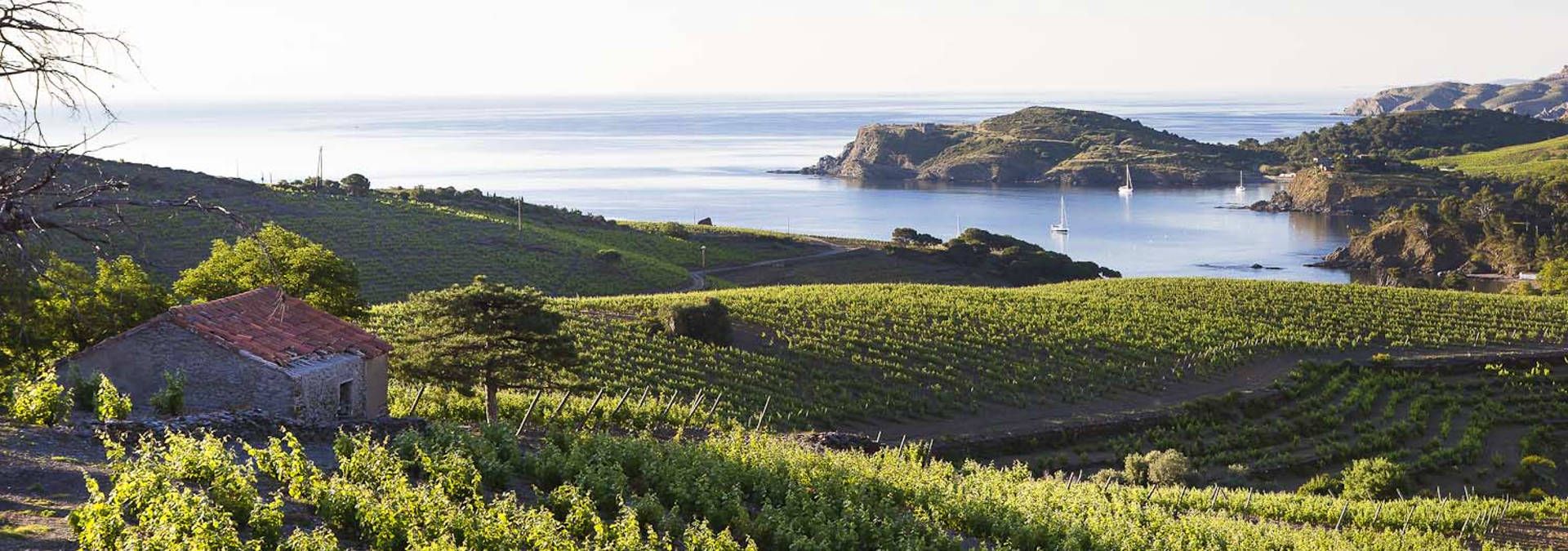 Les clos de Paulilles  - Rue des Vignerons