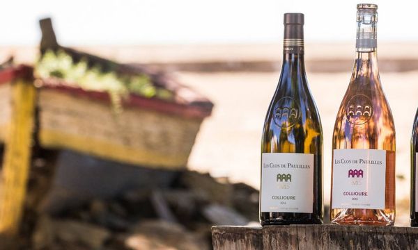 Discover our wines-photo