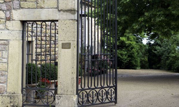 Descubrir Saint-Amour y sus vinos-photo