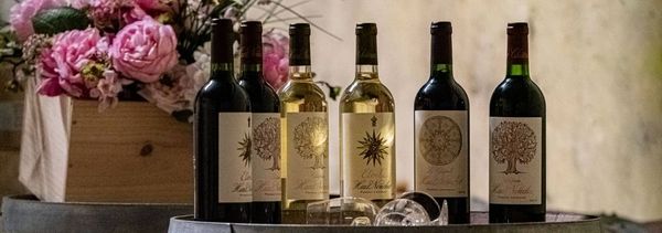 Mets/vins délices sucrés-photo