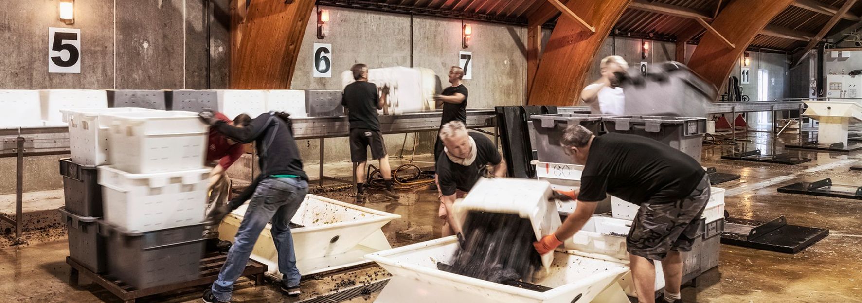 Champagne Chassenay d'Arce - Rue des Vignerons