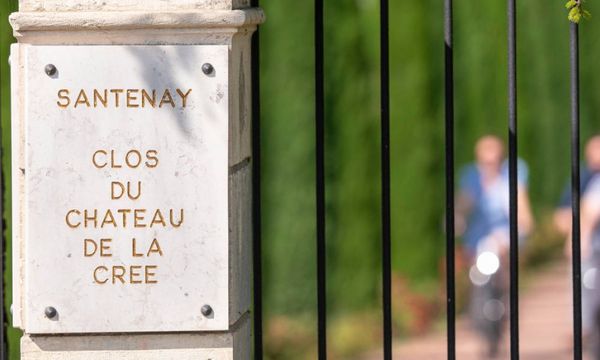 Saddling up for the Terroirs of Santenay,Picnic-photo