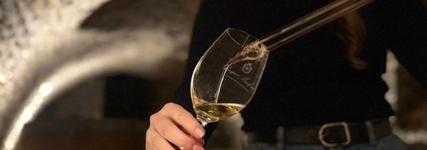 Experiencia Au Coeur des Caves-photo