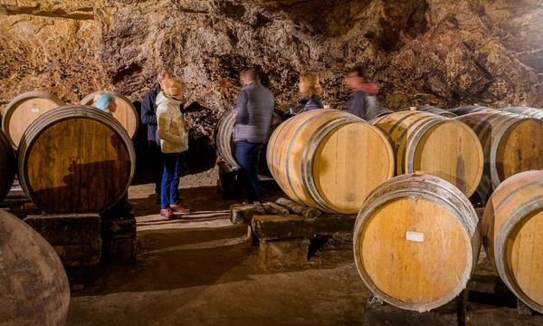 Oeno-Expérience entre vignes, cave et chai-photo