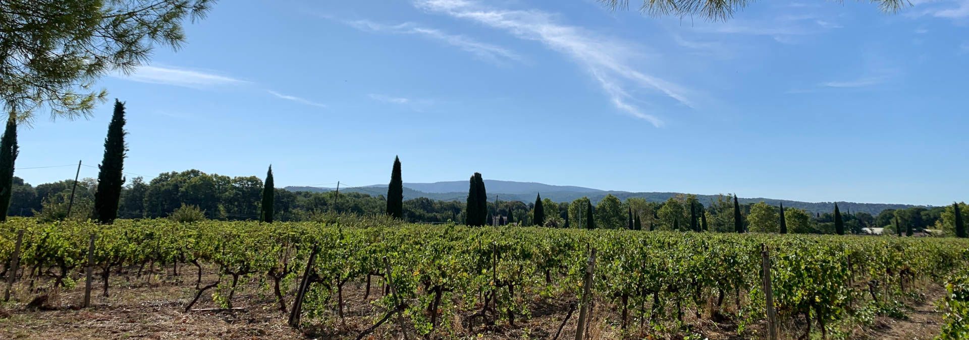 Domaine de la Camarette - Rue des Vignerons