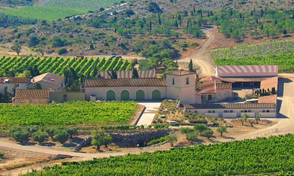 Visite de nos domaines en Corbières et Minervois-photo