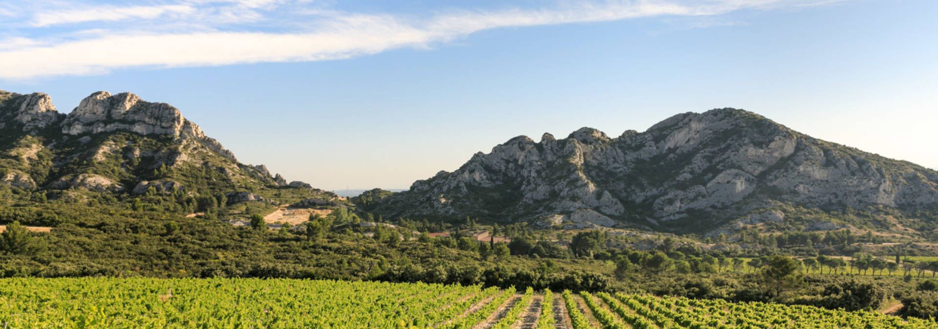Azur Wine tour - Rue des Vignerons