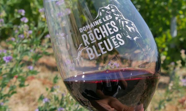 Entdecken Sie die Weine des Mont Brouilly!-photo