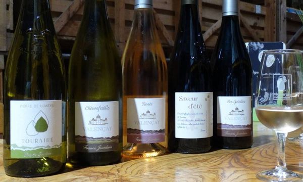 Les sentiers du vin-photo