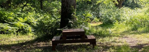 Visite-Dégustation privée Entre les Rangs-photo
