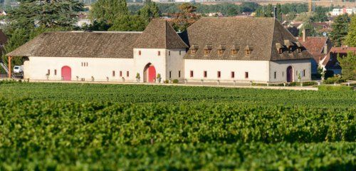 Château de Marsannay photo