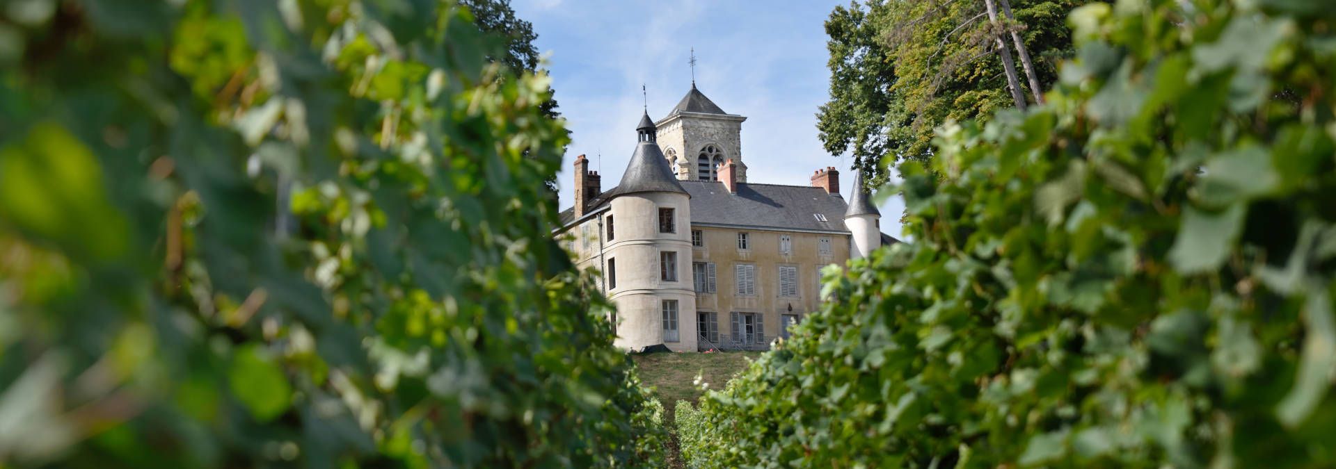 Champagne Le Gallais - Rue des Vignerons