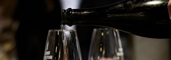 Discover the wines of Anjou Noir-photo