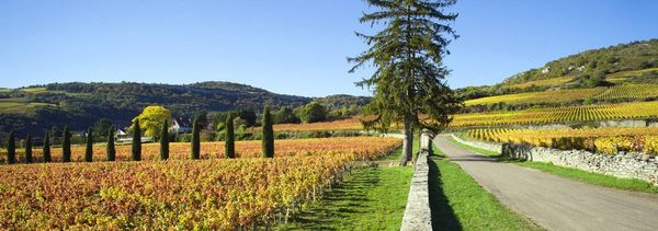 Collection - La Côte de Beaune en 8 chapitres-photo
