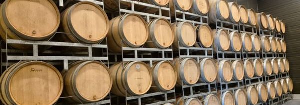 1er cru tasting - visit to the winery-photo