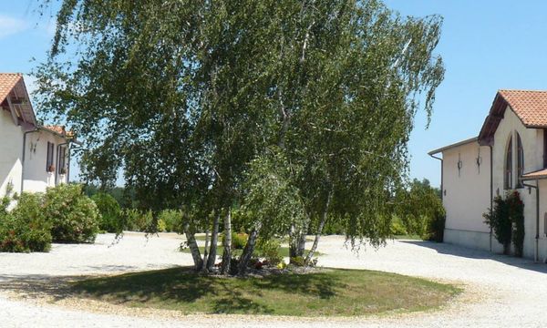 Dégustation commentée de Pessac-Léognan-photo