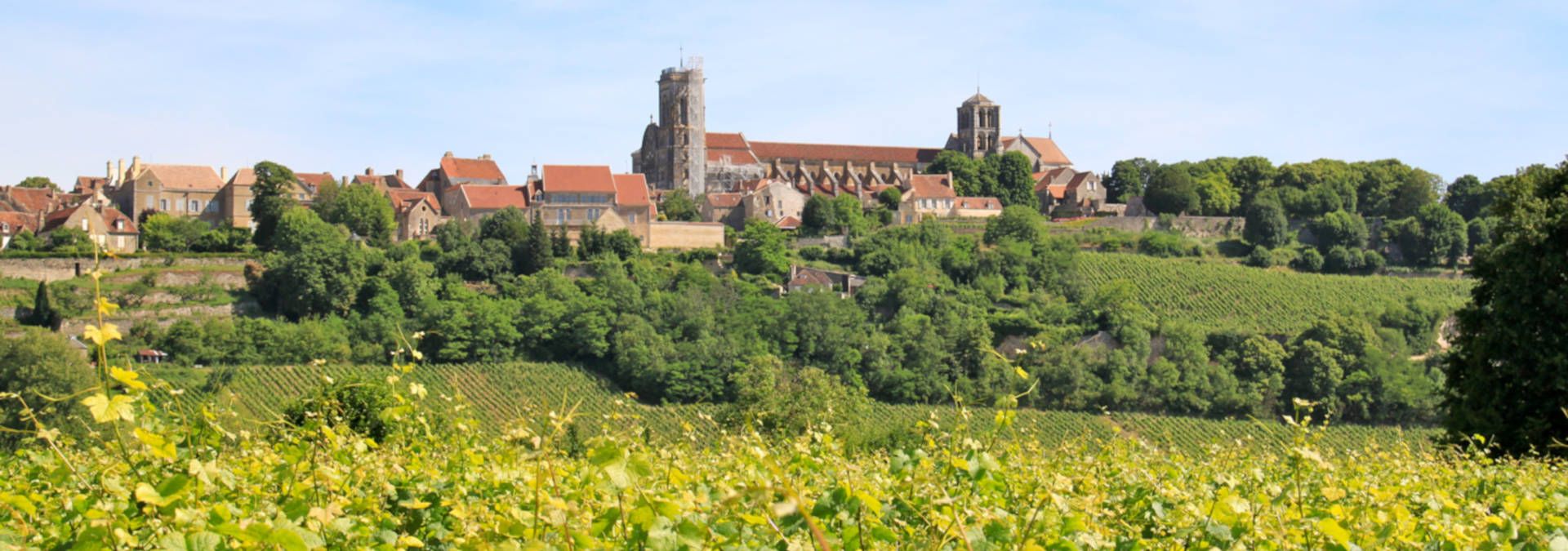 Domaine Camu - Rue des Vignerons