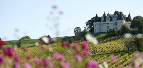 Château de Monbazillac photo