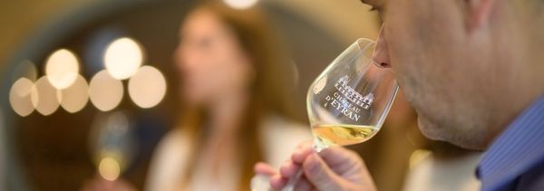 Château d'Eyran à la carte-photo