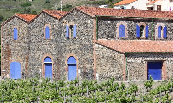 In the heart of the Clos de Paulilles-photo