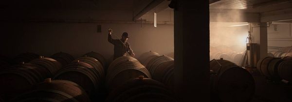 Discover the cellar and the wines-photo