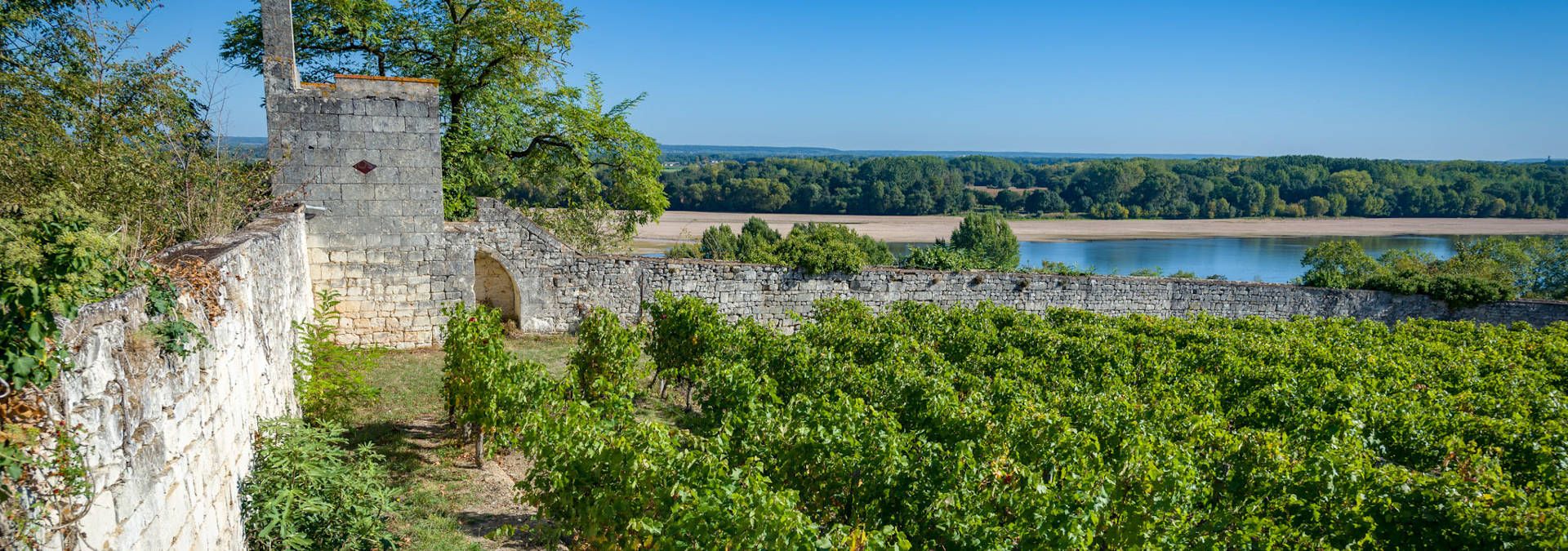 Domaine de la Perruche - Check winery's tour availabilities