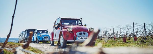 Privater Ausflug in die Champagne mit einem Oldtimer ab Epernay-photo