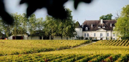 Château Bouscaut, Grand Cru Classé photo