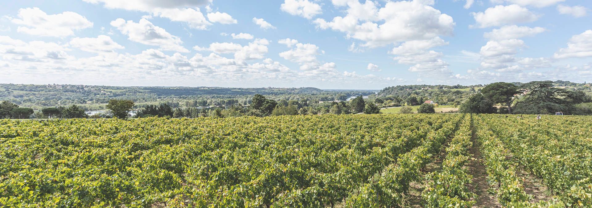 Domaine Landron Chartier- Rue des Vignerons