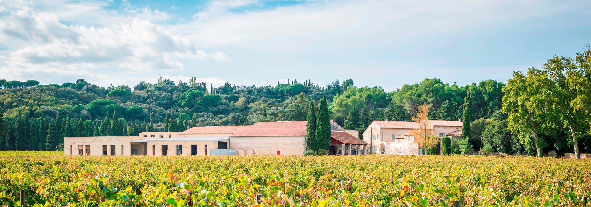 Château Mourgues du Grès - Rue des Vignerons