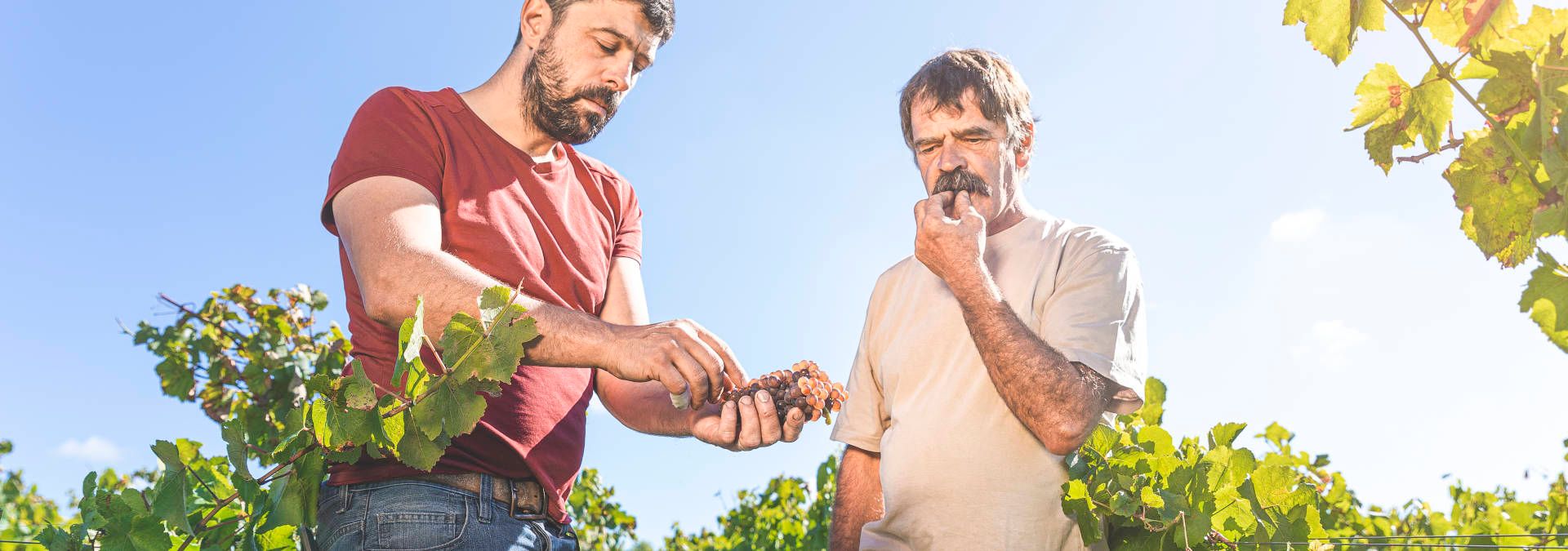 Domaine Landron Chartier- Rue des Vignerons