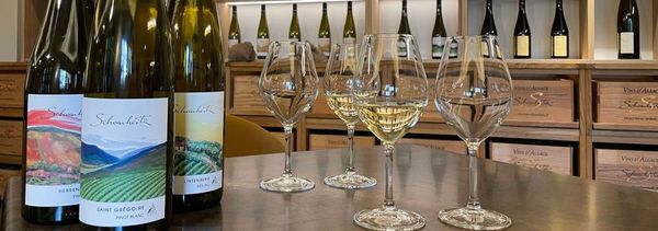 Découvrez nos vins d'Alsace-photo