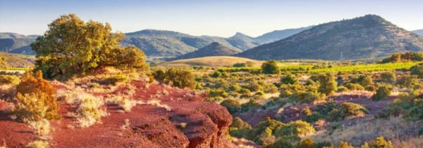 Visita alle zone viticole delle Terres du Larzac e delle Cabrières-photo